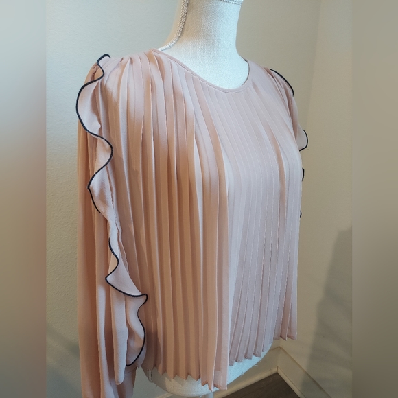 Zara Ruffled Pink Blouse - Picture 10 of 10